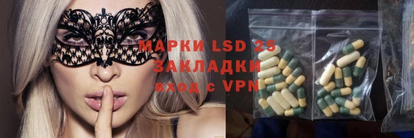 spice Гусиноозёрск