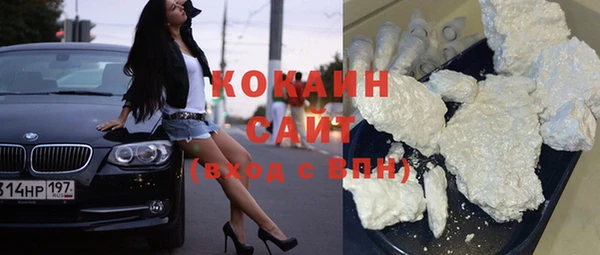 дживик Гусь-Хрустальный