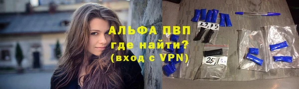 spice Гусиноозёрск