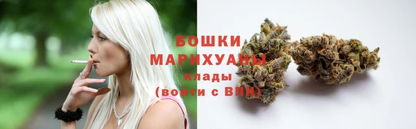 прущие крисы Гусев