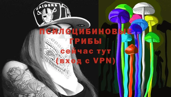 дживик Гусь-Хрустальный