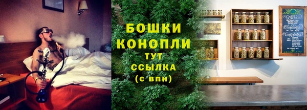 spice Гусиноозёрск