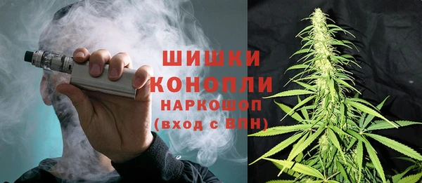 дживик Гусь-Хрустальный