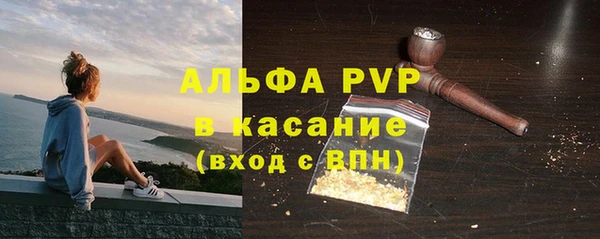 дживик Гусь-Хрустальный