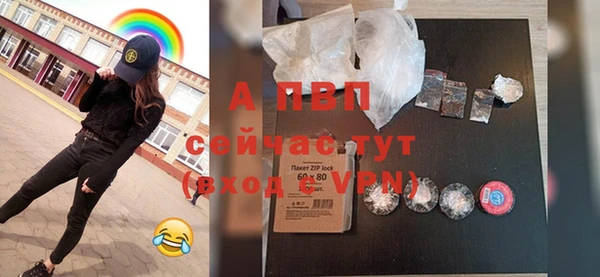 дживик Гусь-Хрустальный