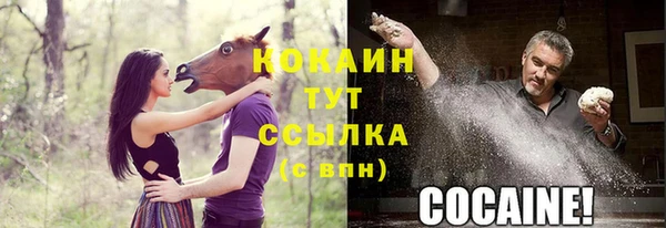 прущие крисы Гусев
